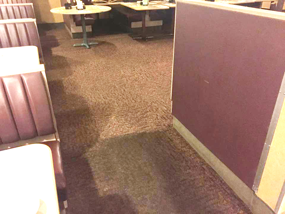 Mold on Carpet vs Mold Under Carpet